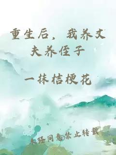 重生后，我养丈夫养侄子