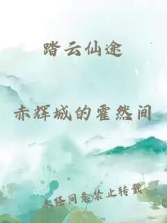 踏云仙途