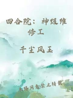 四合院：神级维修工