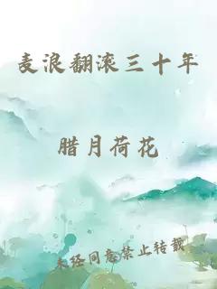 麦浪翻滚三十年
