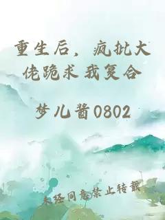 重生后，疯批大佬跪求我复合
