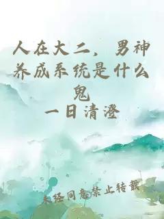 人在大二，男神养成系统是什么鬼