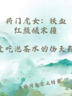 将门虎女：铁血红颜倾宋疆