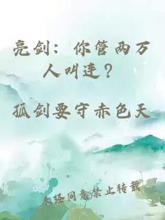亮剑：你管两万人叫连？