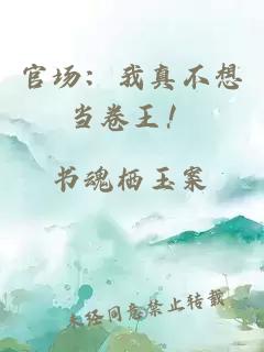 官场：我真不想当卷王！