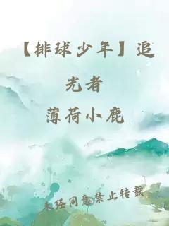 【排球少年】追光者