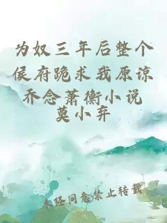 为奴三年后整个侯府跪求我原谅乔念萧衡小说