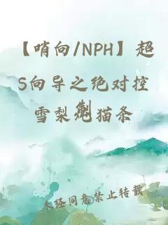 【哨向/NPH】超S向导之绝对控制
