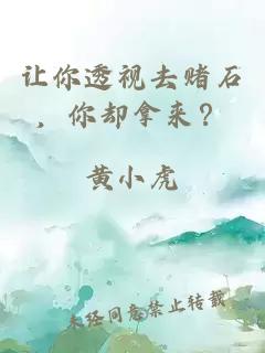 让你透视去赌石，你却拿来？