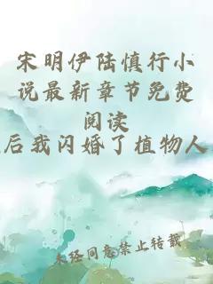 宋明伊陆慎行小说最新章节免费阅读