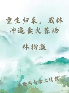 重生归来，我林冲追妻火葬场