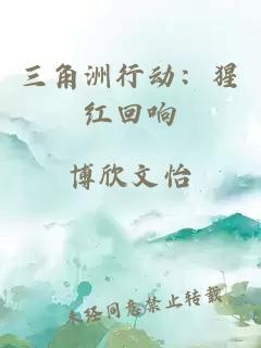 三角洲行动：猩红回响