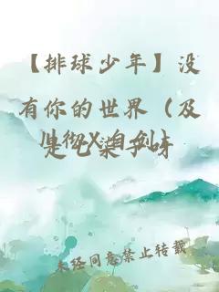 【排球少年】没有你的世界（及川彻X自创）