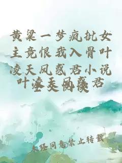 黄粱一梦疯批女主竟恨我入骨叶凌天凤惑君小说全文阅读