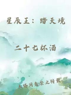 星辰王：踏天境