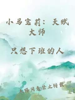 小马宝莉：天赋大师