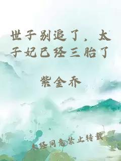 世子别追了，太子妃已经三胎了