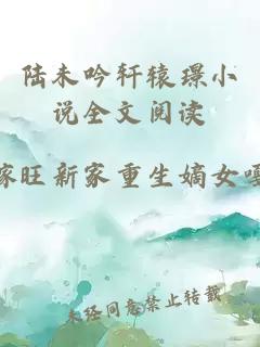 陆未吟轩辕璟小说全文阅读