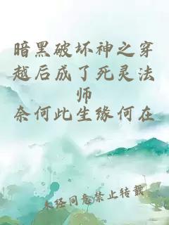 暗黑破坏神之穿越后成了死灵法师