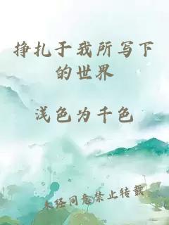 挣扎于我所写下的世界