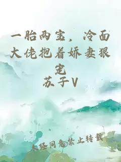 一胎两宝，冷面大佬抱着娇妻狠宠