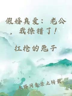 假婚真爱：老公，我撩错了！