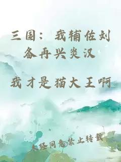 三国：我辅佐刘备再兴炎汉