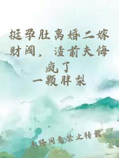 挺孕肚离婚二嫁财阀，渣前夫悔疯了