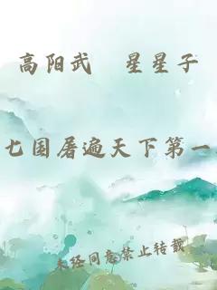 高阳武曌星星子