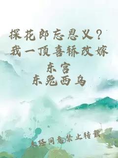 探花郎忘恩义？我一顶喜轿改嫁东宫