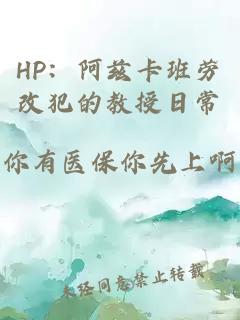 HP：阿兹卡班劳改犯的教授日常