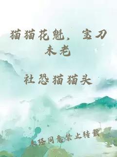 猫猫花魁，宝刀未老