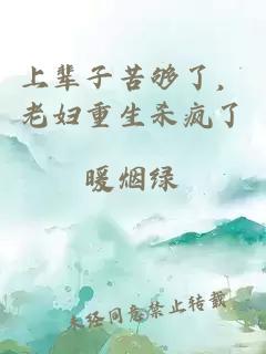 上辈子苦够了，老妇重生杀疯了