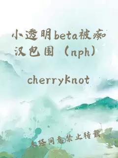 小透明beta被痴汉包围（nph）
