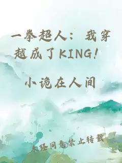 一拳超人：我穿越成了KING！
