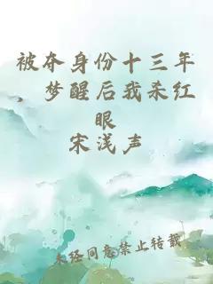 被夺身份十三年，梦醒后我杀红眼
