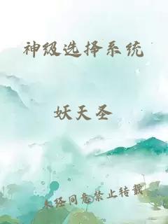 神级选择系统