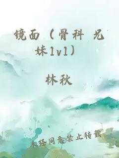 镜面（骨科 兄妹1v1）