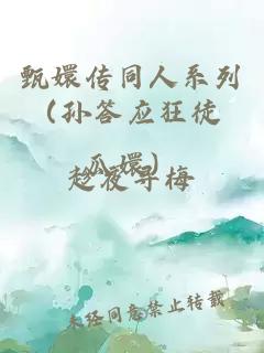 甄嬛传同人系列（孙答应狂徒 瓜嬛）