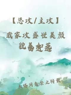 【总攻/主攻】我家攻盛世美颜貌美如花
