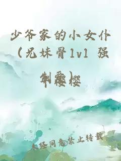 少爷家的小女仆（兄妹骨1v1 强制爱）