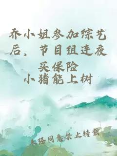 乔小姐参加综艺后，节目组连夜买保险