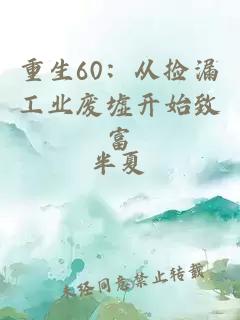 重生60：从捡漏工业废墟开始致富