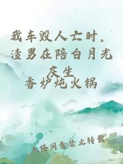 我车毁人亡时，渣男在陪白月光庆生
