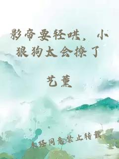 影帝要轻哄，小狼狗太会撩了