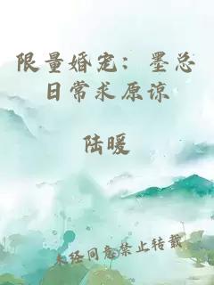 限量婚宠：墨总日常求原谅