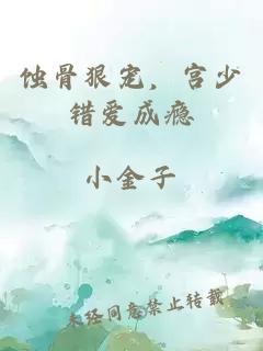 蚀骨狠宠，宫少错爱成瘾