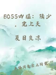BOSS凶猛：陆少，宠上天