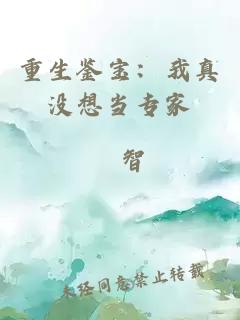 重生鉴宝：我真没想当专家