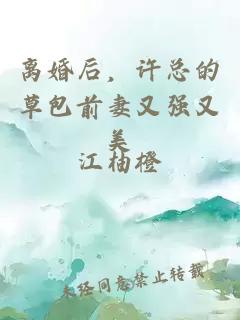 离婚后，许总的草包前妻又强又美